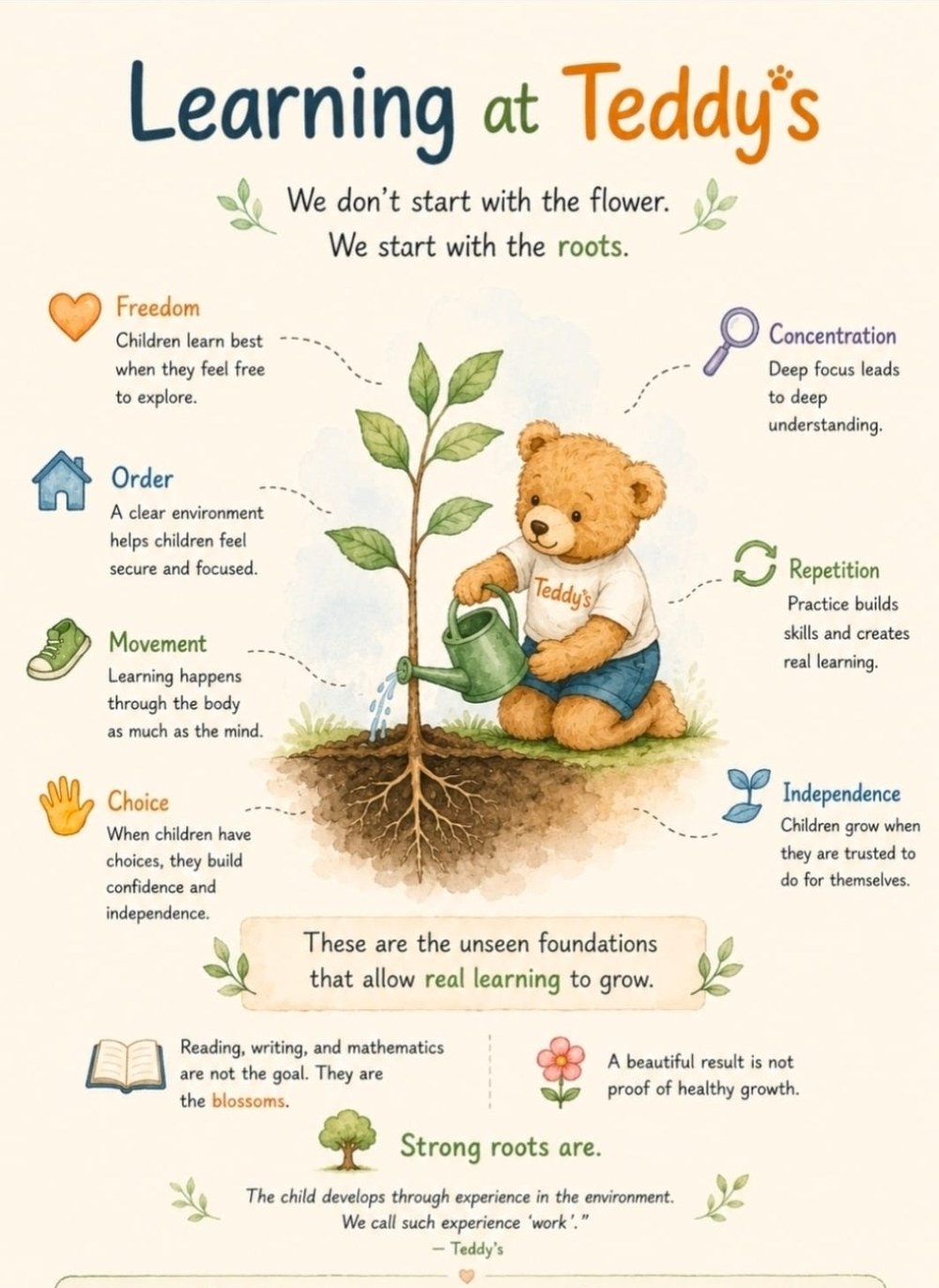 Learning at Teddies — we start with the roots